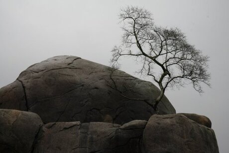 Geheim plekje......!