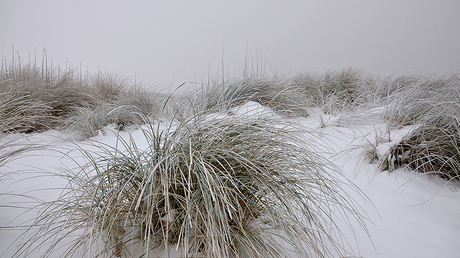 Sneeuw, mist en duinen.