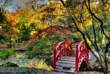 herfstkleuren in Japanse tuin