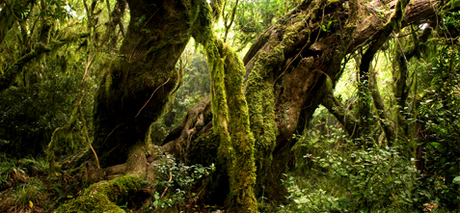 Nieuw Zeeland, Whakaronga wai (listen)