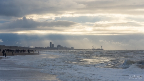 Strand nabij Scheveningen