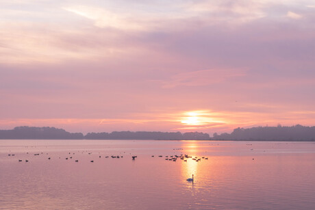 Mist en opgaande zon op het Gooimeer