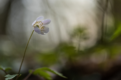 de schone schijn ophouden...