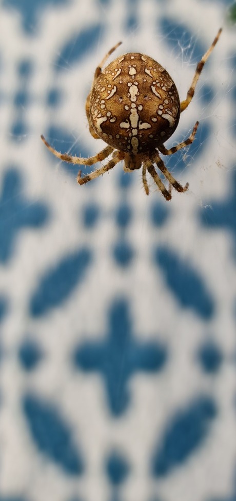 Waar is het kruis voor me of onder me