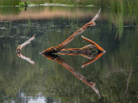 Spiegelsymmetrie