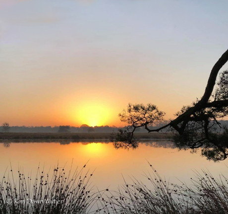 zonsopkomst