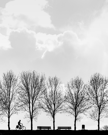 Langs de dijk