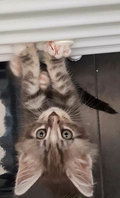 Hoe klim ik op een radiator 
