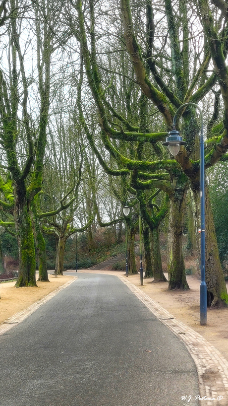 Het Noorderplantsoen.