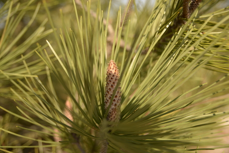 Spring is in the air