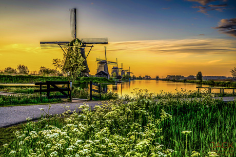 Gouden uurtje Kinderdijk 