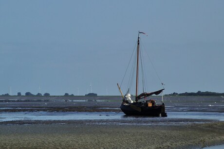 Het wad op