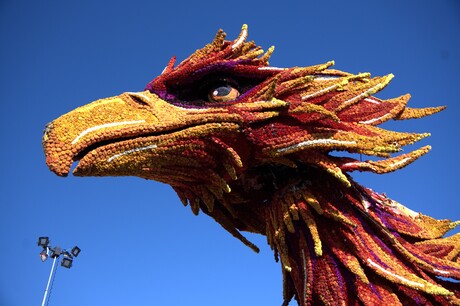 Bloemencorso Zundert maandag op tentoonstellingsterrein_3