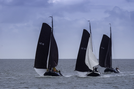 Harlingen-Terschelling zeilrace