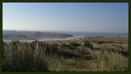 Bergen duinen