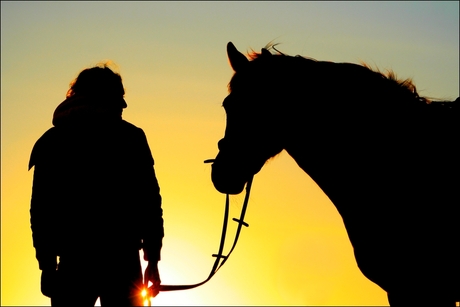 Horse loving