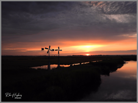 Vroege fietstocht door De Biesbosch