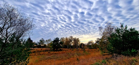 Prachtige altocumulus stratiformis wolken