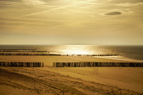 Strand bij tegenlicht