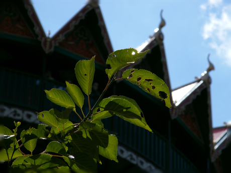 pagode efteling