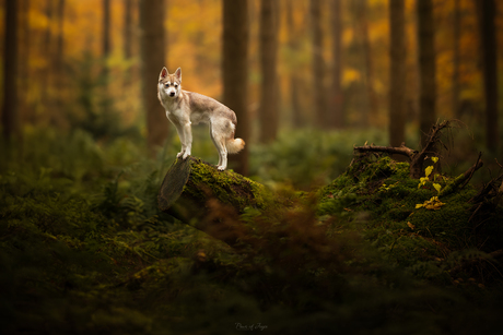 Looking back at Autumn 🧡