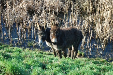 Lente?Waar?