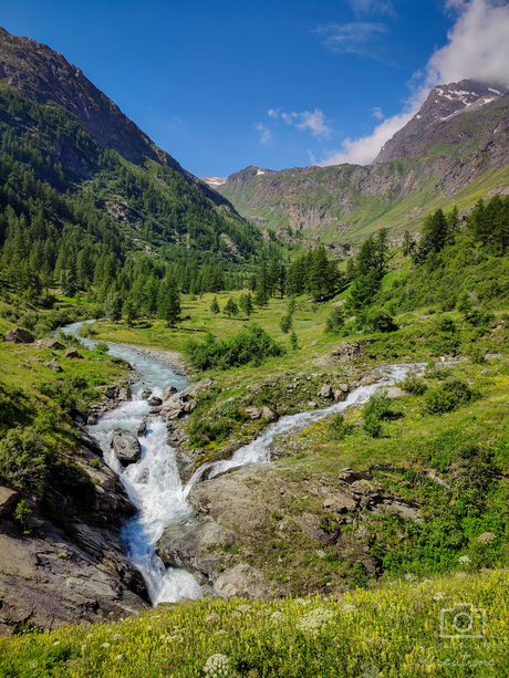 Gran Paradiso