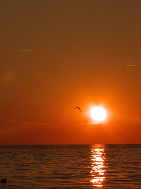 Sunset at Ängelholm beach