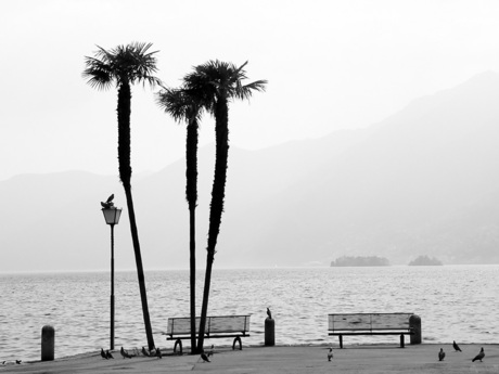 Lago di Locarno