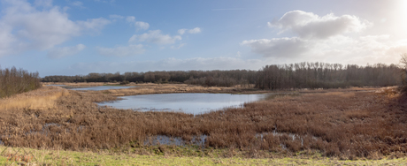 Kromslootpark  Almere