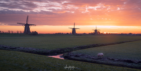 Molendriegang Stompwijk