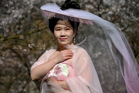 Japanse dame op het Bloesempark in Amstelveen