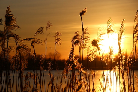 Zonsondergang Nedereindse Plas