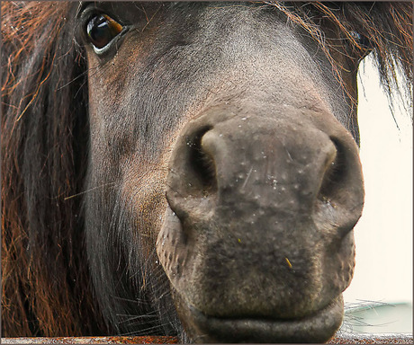 kom es, kom es...............................