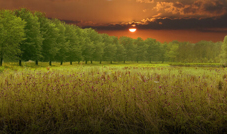 Broekpolder sunset