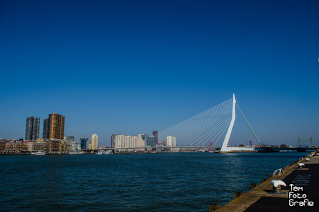 Rotterdam