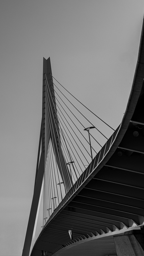 erasmusbrug