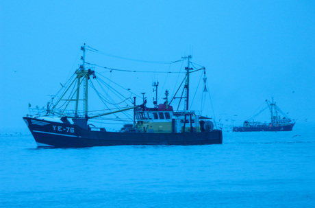 Vissersboten op zee