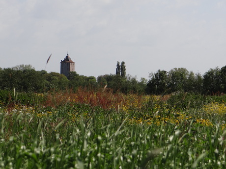 Omgeving Vleuten en Haarzuilens