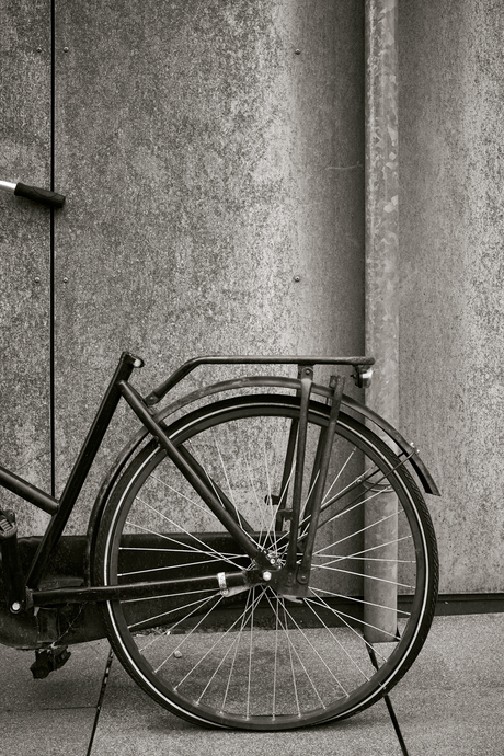 Fiets, Leidsche Rijn