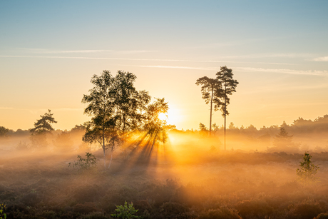 Mistige zonsopkomst 