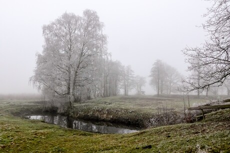 Wandelen in mistig Bourtanger-veld ....