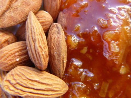 Going Nuts by Elle Hart