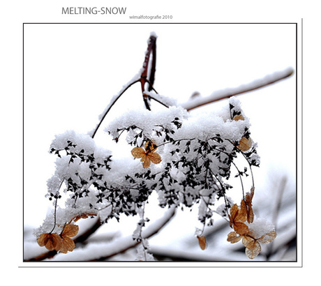 melting-snow