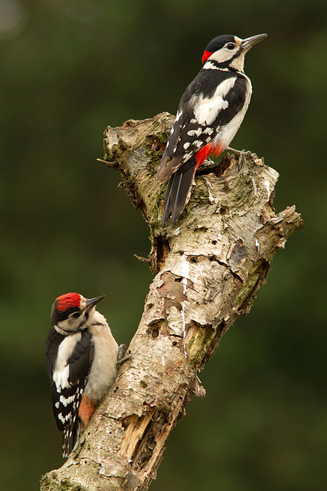 Father and son!