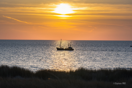 Stille Visserij