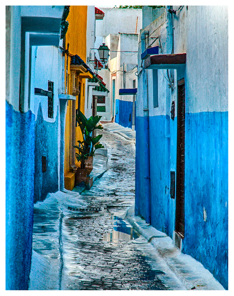 Blauwe Tonen