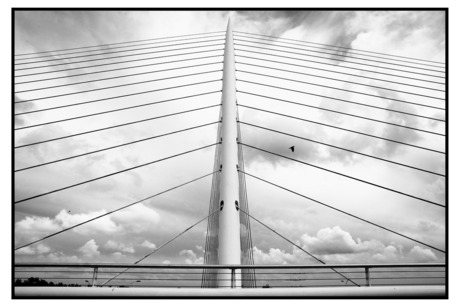 Calatrava brug