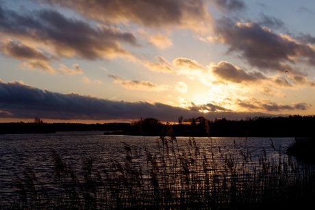 Afscheid van een avondzon