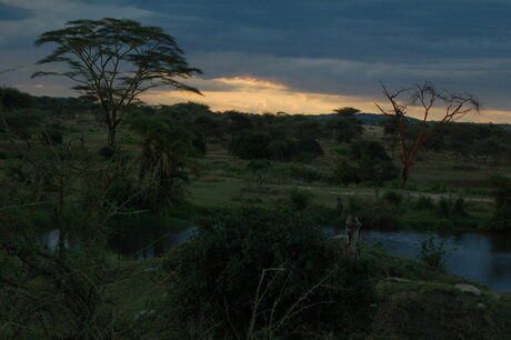 Sunset Serengetti